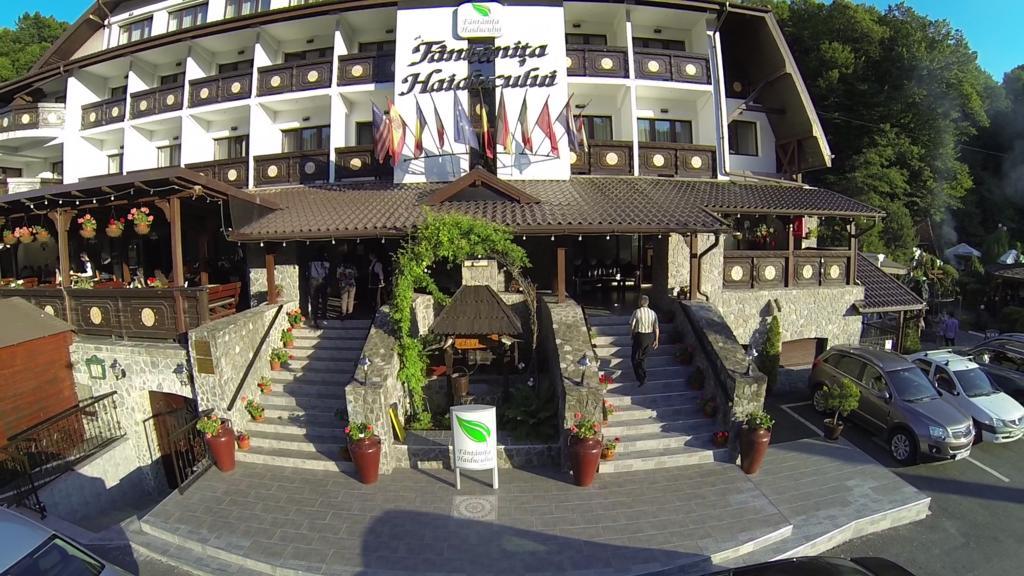 Hotel Fantanita Haiducului Bradu  Exterior foto